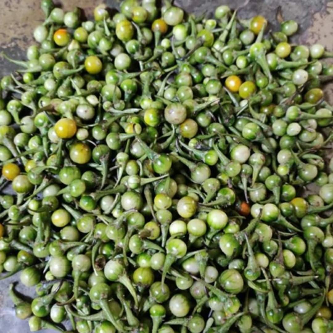 चिचारडी रानभाजी