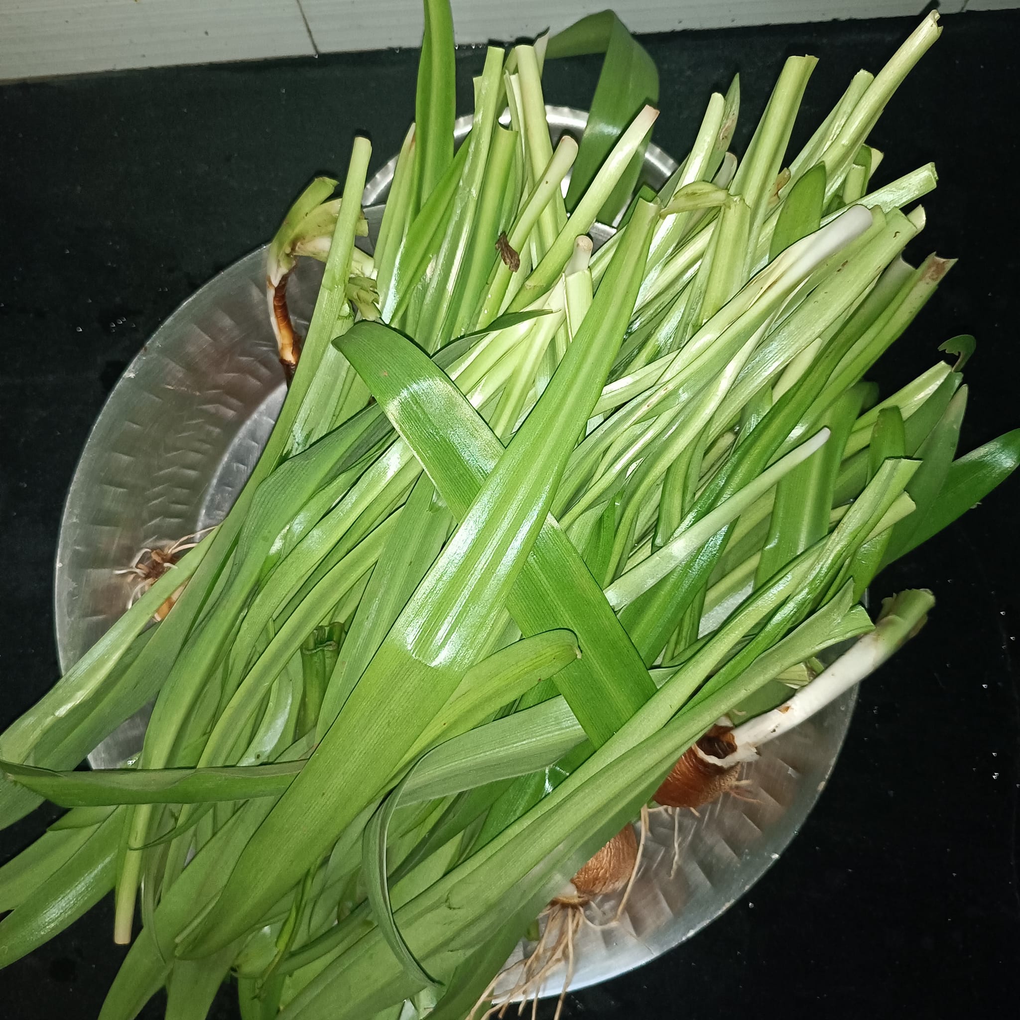 फोडशी रानभाजी