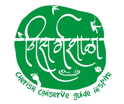 logo dark
