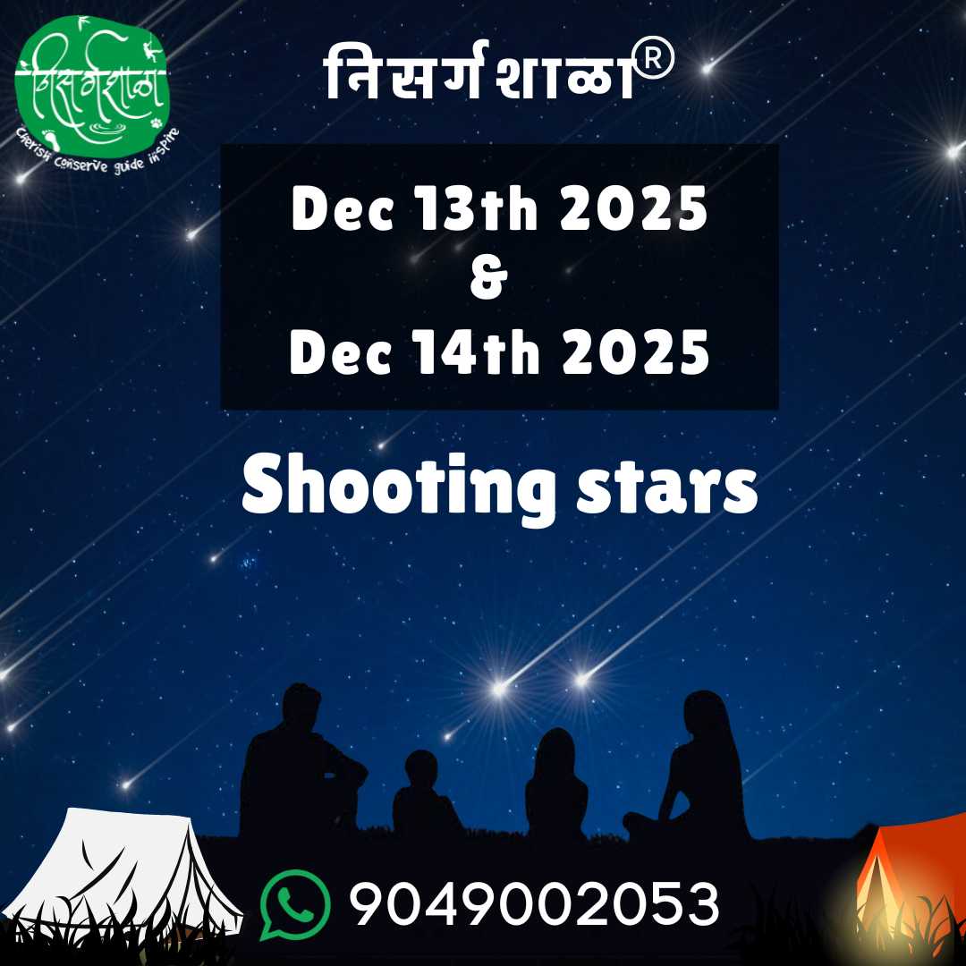 Geminid Meteor shower near Pune