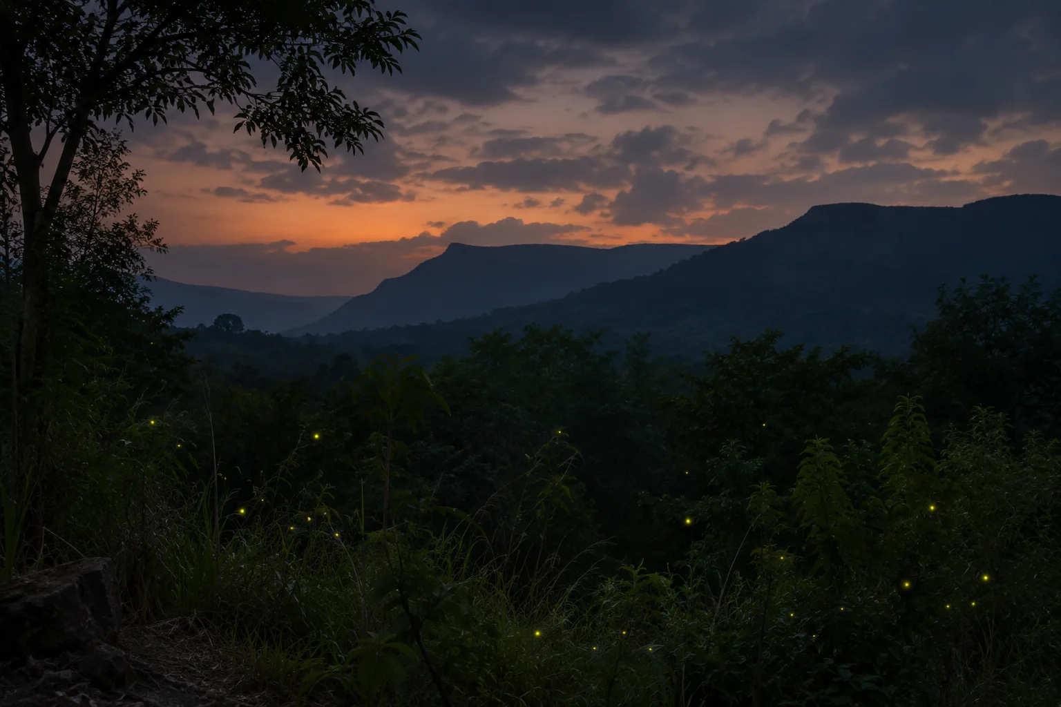 Fireflies at Nisargshala