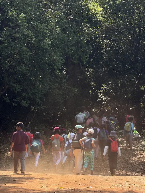 Forest exploration at Huppya Camp