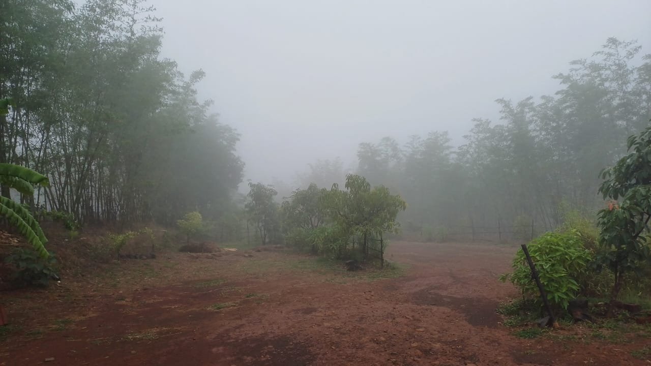 Family camping near Pune