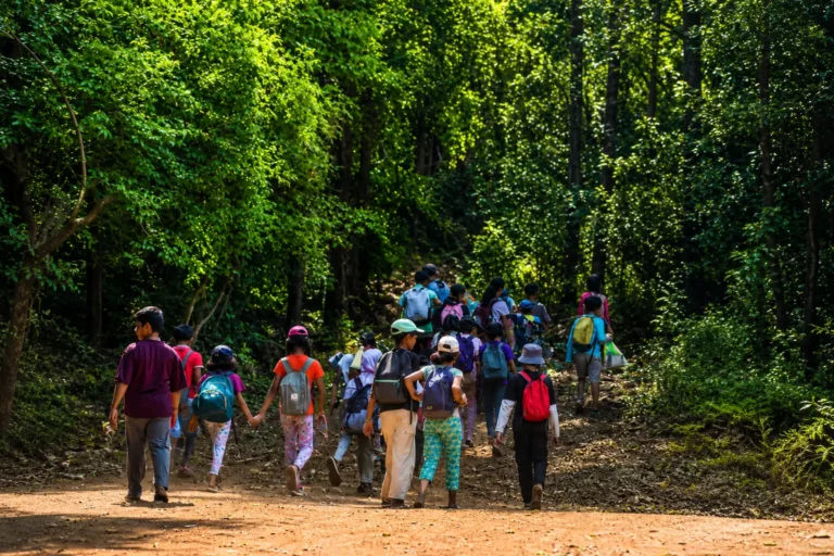 Children exploring forest trails at Huppya camp