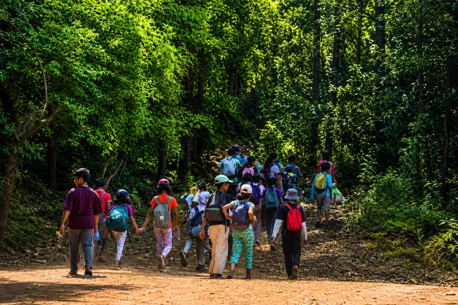 Forest trails at Nisargshala