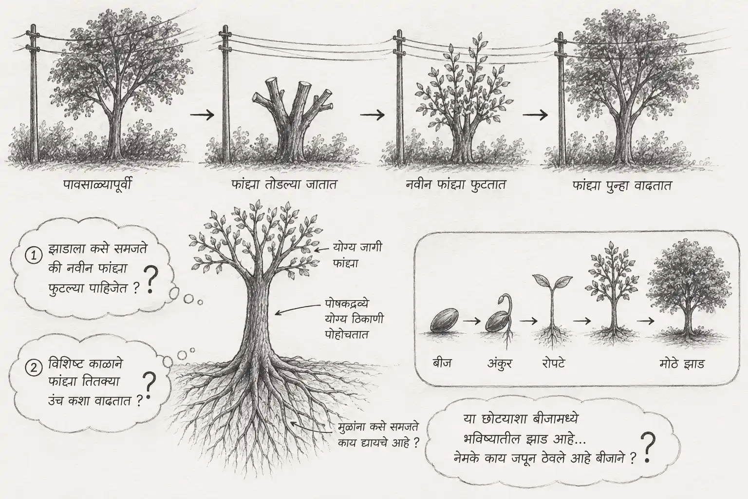 जीवनाची योजना